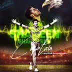 Cricket Lover