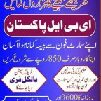PAKISTAN ONLNE BUSINESS