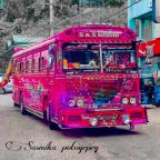 Srilankan Bus Kingdom