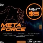 Meta Force Real Earning