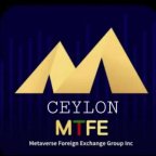 MTFE Platform