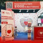 BLV Mining Project