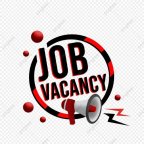 All Job Assam