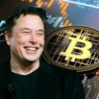 Elon Crypto Trading