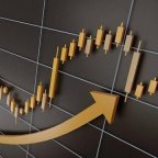 Forex Professional Signals