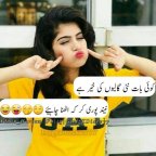 Only WhatsApp Status